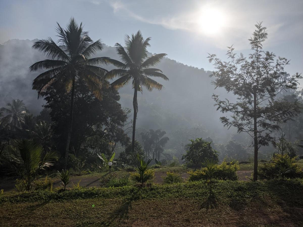 Riverbench Homestay Munnar, Anaviratty Exterior photo