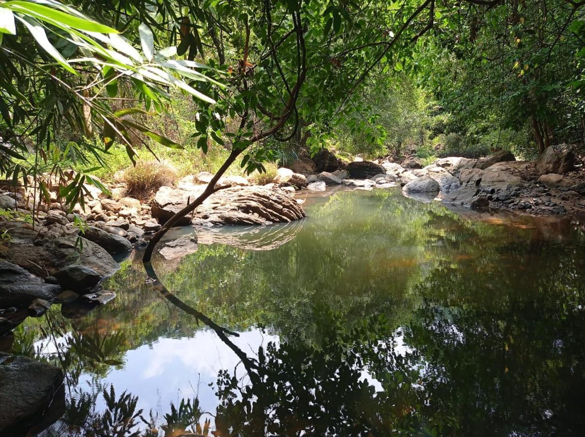 Riverbench Homestay Munnar, Anaviratty Exterior photo
